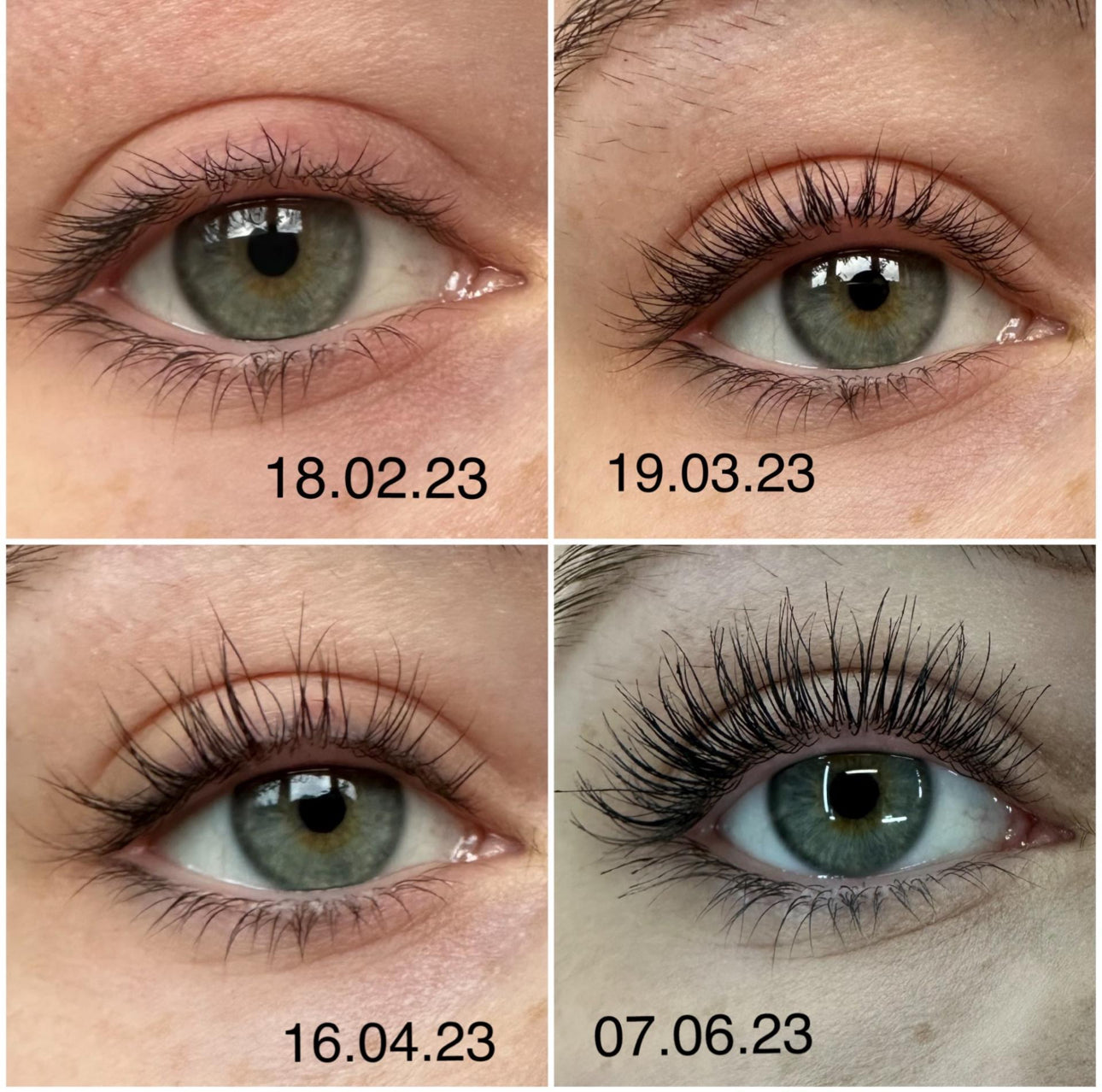 Long Lashes Wimpernserum
