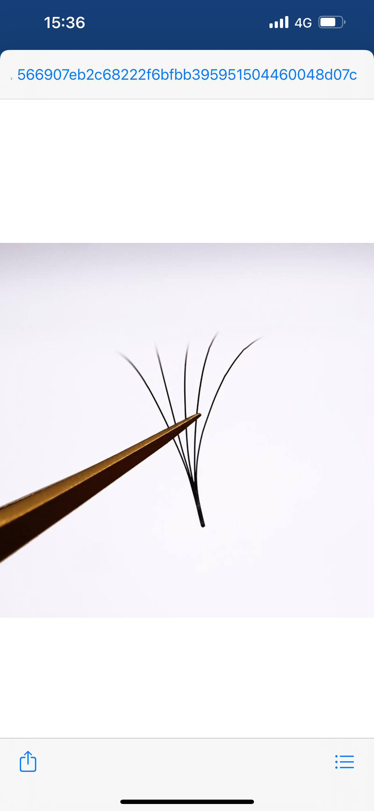 5D C Curl 500 Fächer LashBae- Fertige Wimpernfächer Volumenwimpern