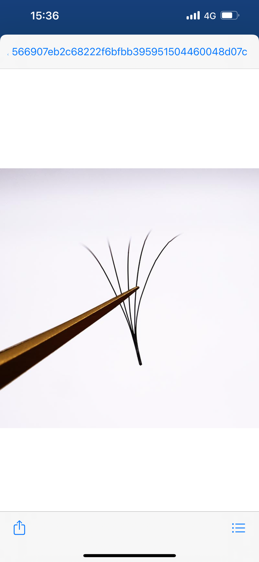 5D C Curl 500 Fächer LashBae- Fertige Wimpernfächer Volumenwimpern