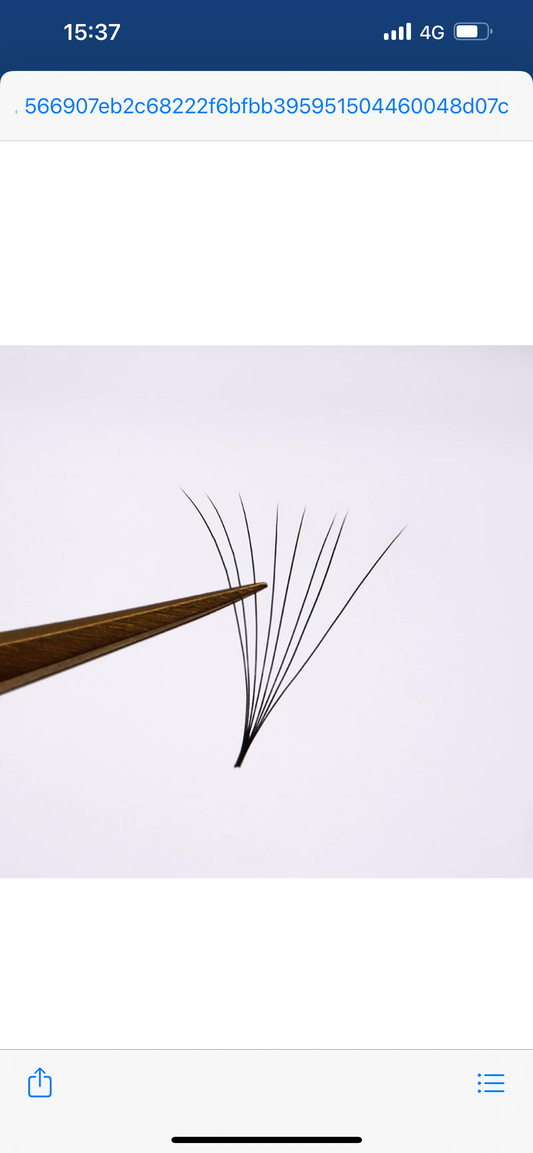 6D D Curl 500 Fächer LashBae- Fertige Wimpernfächer Volumenwimpern