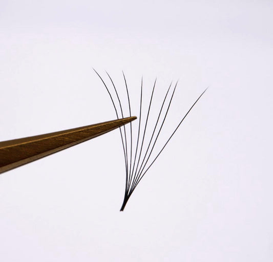 10D Mixbox LashBae- 1000 Fertige Wimpernfächer 10D Volumenwimpern