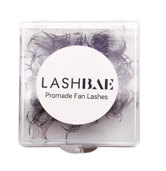 6D D Curl 500 Fächer LashBae- Fertige Wimpernfächer Volumenwimpern